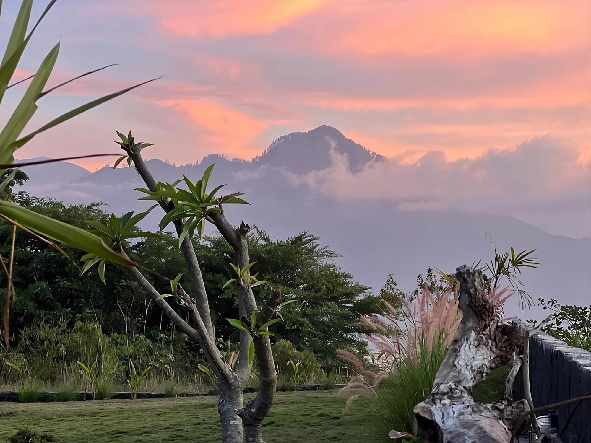 Hillside Bali Bed & Breakfast Kubupenlokan Exterior foto