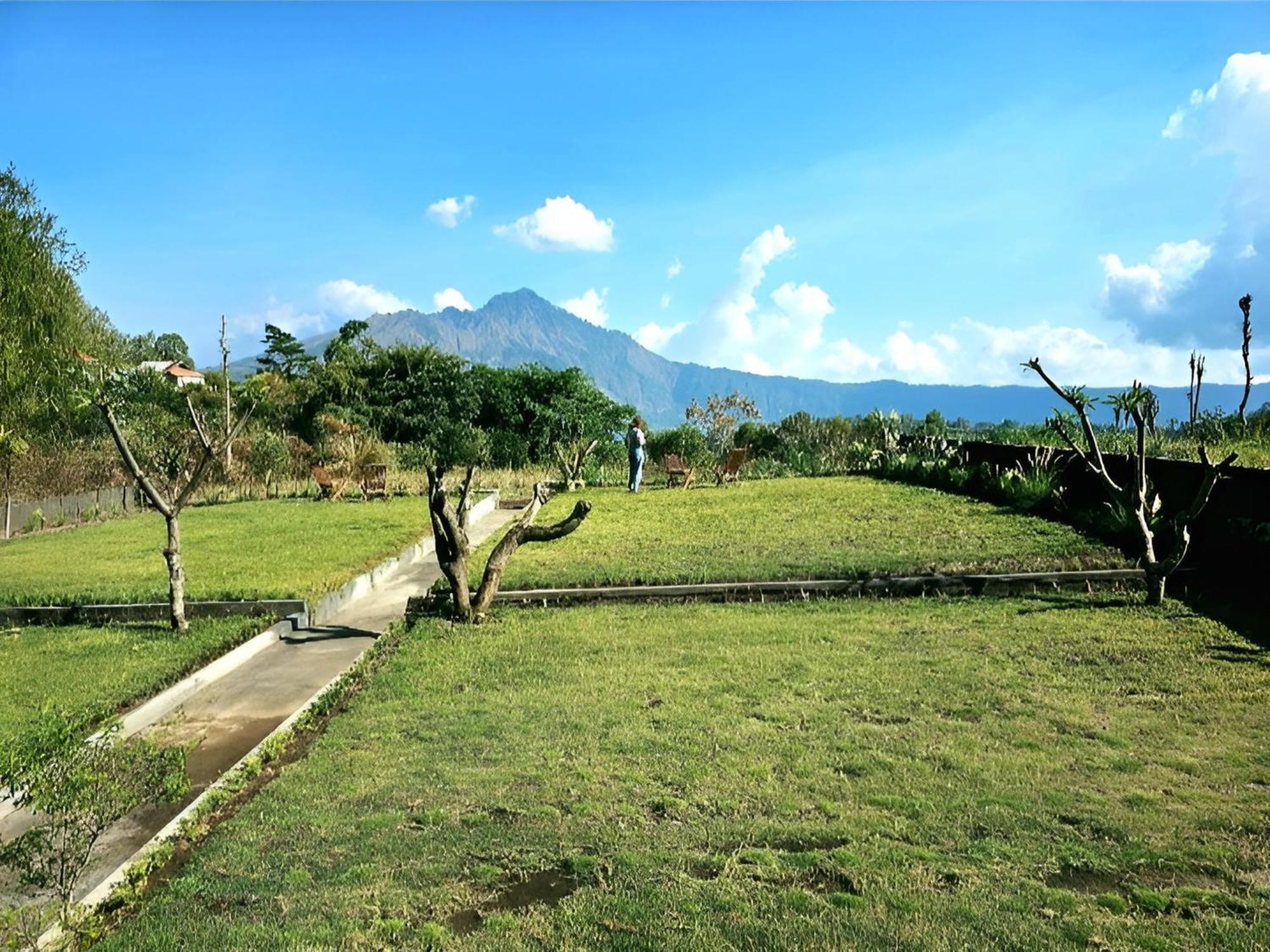Hillside Bali Bed & Breakfast Kubupenlokan Exterior foto