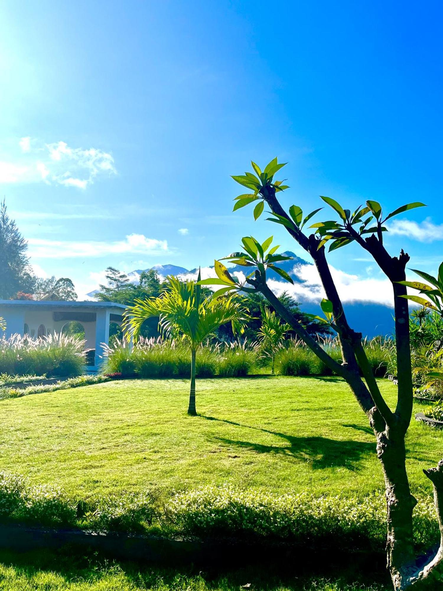 Hillside Bali Bed & Breakfast Kubupenlokan Exterior foto